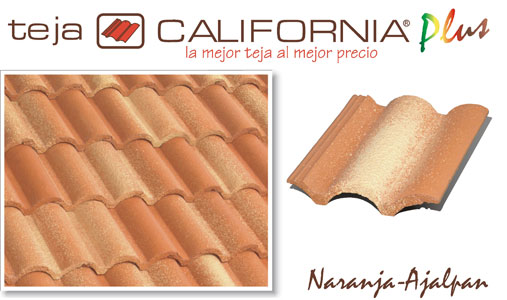 teja-california-plus-naranja-ajalpan-pretensur